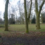 Ash tree circle (before)